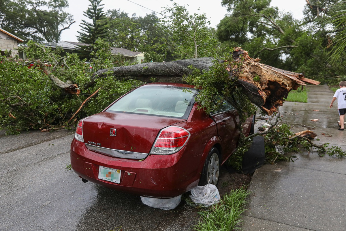 Natural Disasters